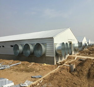 Chất lượng cao 60*12*3m sẵn sàng thực hiện Kết Cấu Thép Gà Thịt gà lớp hen Farming nhà - Product Image 2