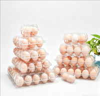 Boîte à lunch alimentaire personnalisable FlashStrike AA2 en PVC/PET avec emballage blister et options de conception de logo