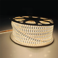 Guirlandes lumineuses en cuivre, prise EU 220V, 8mm, IP67, haute luminosité, étanches, télécommandées, à intensité variable, pour éclairage de chambre, de salon et de cuisine