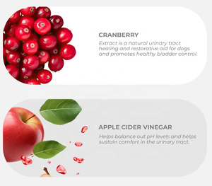 Precio de fábrica OEM ODM arándano para perros tabletas masticables salud del tracto urinario y soporte de vejiga para suplemento de arándano - Product Image 3