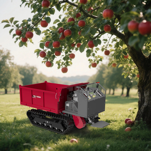 <b>Hot</b> Sale WM7B <b>Red</b> Crawler Tractor AGMA TOYAR 10 HP Motor Gear Drive 1 Year Warranty High Productivity for Orchard Transport Frui - Product Image 6
