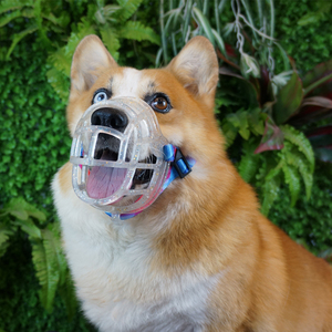 Bozal colorido para perros, canasto de silicona para perros, dispositivo para evitar morder y ladrar - Product Image 3