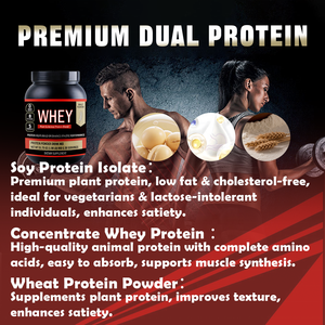 Proteína de Suero de Leche con Sabor a Malta OEM, Polvo para Aumentar Masa Muscular, Suplementos Nutricionales para Aumentar de Peso, Venta al Por Mayor - Product Image 3