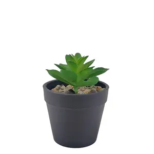 Offerta all'ingrosso a basso prezzo vaso di fiori in plastica nera artificiale mini pianta verde succulenta bonsai home office balcone decorazione