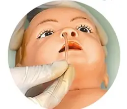 Scienza medica avanzata bambino tre anni allattando modello umano abilità formatore <span class=keywords><strong>ostetrico</strong></span>-<span class=keywords><strong>ginecologo</strong></span> esamina il modello - Product Image 5