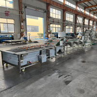 Halfautomatische productielijn voor het mengen en afvullen van biologisch appelsappoeder