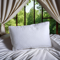 Oreiller de Lit Ergonomique à Motifs Géométriques Solides, Lavable, Confortable pour Hôtels 5 Étoiles, Accessoire de Sommeil