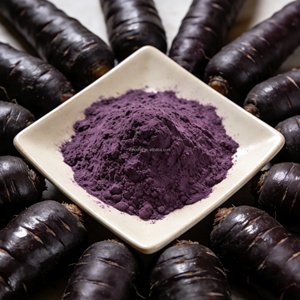 Polvere di Succo di Carota Nera Essiccata Personalizzata OEM ODM, Biologica Certificata HACCP, Grado Alimentare 1kg per Tè alla Frutta, Frullati, Prodotti da Forno - Product Image 1