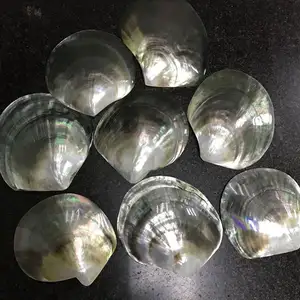 High Polished Blacklip Mother of Pearl MOP Shell Round Circle Slices Inlay Decoration