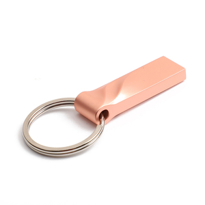 Chất Lượng Hàng Đầu Kim Loại Keyring U Đĩa Biểu Tượng Tùy Chỉnh Tốc Độ Cao 1Tb <span class=keywords><strong>USB</strong></span> 2.0 3.0 Flash Pen Drive 512MB 256MB 128GB 64MB - Product Image 2