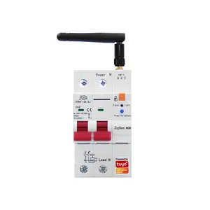 Tuya Zigbee Smart Circuit Breaker 2p 63A Smart Energy Meter Kwh monitoraggio interruttore Timer relè