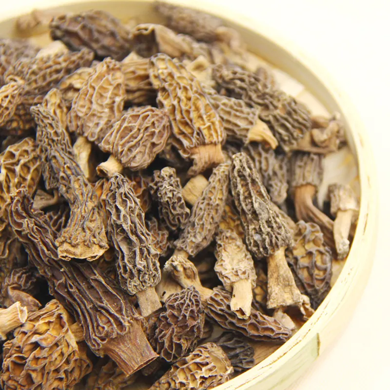 china wholesale dried wild mushroom DETAN export wild morel mushrooms for sale