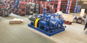 Pompe à vide à anneau liquide industrielle robuste en fonte 2SK, série haute pression simple et double étage pour dragage 2S - Product Image 6