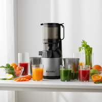 Elektrische slowjuicer met 1000ml capaciteit, 130mm diameter, automatische pulp-afvoer, behuizing van roestvrij staal en kunststof