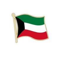 Pin de Solapa Esmaltado con Diseño Personalizado de Bandera Nacional, Broche Metálico para Regalo Empresarial