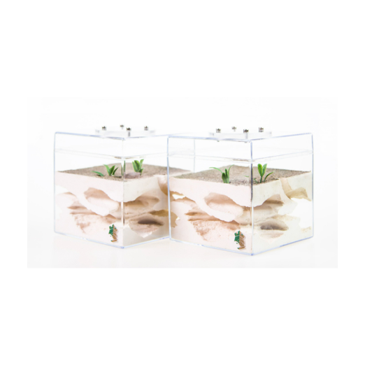 Break Resistant and Escape Proofr Acrylic Ant Nest Formicarium