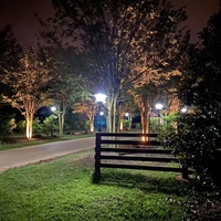 Lampu Taman Tenaga Surya Paling Populer Lampu Taman Tenaga Surya Luar Ruangan Bunga Tahan Air Kecerahan Tinggi Lampu Dekoratif