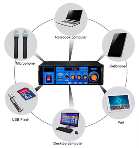 <span class=keywords><strong>GF16</strong></span> 20W Mini PA-Verstärker mit USB/SD/FM für Heim- und Auto-Hintergrundmusik-Soundsystem - Product Image 4