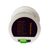 Système de son surround passif mini 8 ohms 2*20W, haut-parleur de plafond haute puissance, haut-parleur de plafond pour la musique d'ambiance à domicile, à l'hôtel
