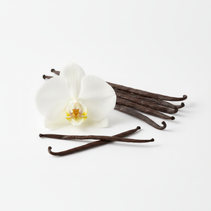 Les gousses de vanille Bourbon d'Ouganda les plus sucrées, de qualité A, fraîches et brutes, lot de 5, scellées sous vide, pour chefs et boulangers amateurs - Product Image 2
