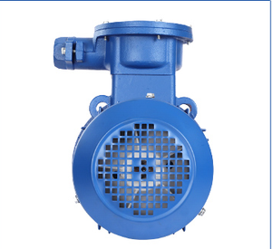 Motor Asíncrono Trifásico a Prueba de Explosiones de la Serie YB3, 1-150, 7.5-30 KW, Motores YB3 50 - Product Image 6
