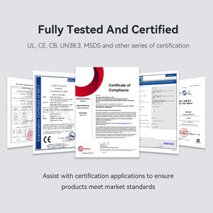 12V 24V Lifepo4-batterij 100ah 200ah 300ah Lithiumbatterij Koude Ketting Logistiek Temperatuurregeling Olie Boorplatform Back-Up Vermogen - Product Image 4