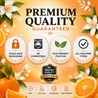 Lessive en Capsules Parfumées Adoucissantes pour Linge, Nettoyage en Profondeur, Parfum Longue Durée pour Femme