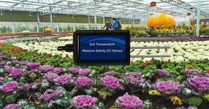 LORA LORAWAN 4G WIFI GPRS 4 en 1 sensor de temperatura y humedad <span class=keywords><strong>del</strong></span> suelo y CE y salinidad - Product Image 5