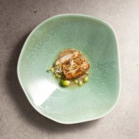 2024 Klin Green Line ensemble de vaisselle en céramique prix de gros été plats en porcelaine pour Restaurant haut de gamme assiettes bols