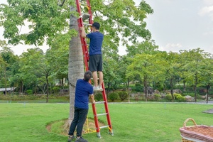 Frp GRP Thang Kéo Dài Bằng Sợi Thủy Tinh Hai Mặt Cách Điện Đa Năng Có Thể Gập Lại Cho Thợ Điện - Product Image 6