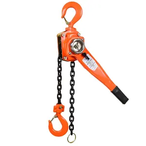 Pulley Hoist Lift Manual Stainless Steel Vital 1 ton 3 ton 5 ton Prices Lever Chain Block 2 ton Price