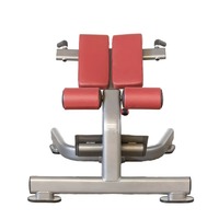 ASM-E1033 Banc de musculation commercial pour extensions dorsales, OEM ODM, avec cadre en acier robuste, équipement d'entraînement de base pour le renforcement musculaire