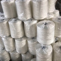 Ruban élastique PP à simple ou Double noyau, 1 paire, vente en gros, élastique, souple, rond, blanc, 2mm, pour la couture, l'artisanat à la main