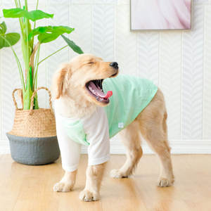 Gilet d'entraînement de <span class=keywords><strong>coyote</strong></span> respirant en gros dos de poitrine pour Golden Retriever, Samoyède, Labrador et autres races moyennes à grandes races - Product Image 4