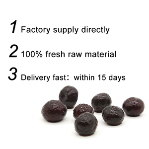 도매 냉동 과일 IQF 냉동 블루 베리 냉동 과일 음료 - Product Image 3