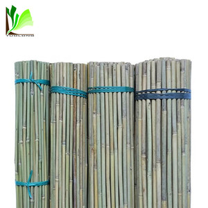 Alta calidad barato seco Natural crudo recto verde jardín Tonkin <span class=keywords><strong>cañas</strong></span> <span class=keywords><strong>de</strong></span> <span class=keywords><strong>bambú</strong></span>/bastones/juego/Stick para venta - Product Image 3