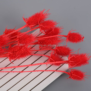 <span class=keywords><strong>Flores</strong></span> Secas de Cardo (Dipsacus Fullonum), Semillas de Cardo Silvestre, Ramo de <span class=keywords><strong>Flores</strong></span> <span class=keywords><strong>Preservadas</strong></span> de Larga Duración - Product Image 6