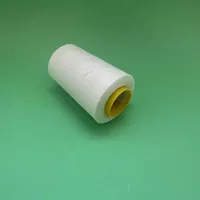 Fil à coudre 40/2 en polyester filé 100% haute ténacité, 5000 yards, couleur beige, semi-terne, teint, pour broderie au point de croix
