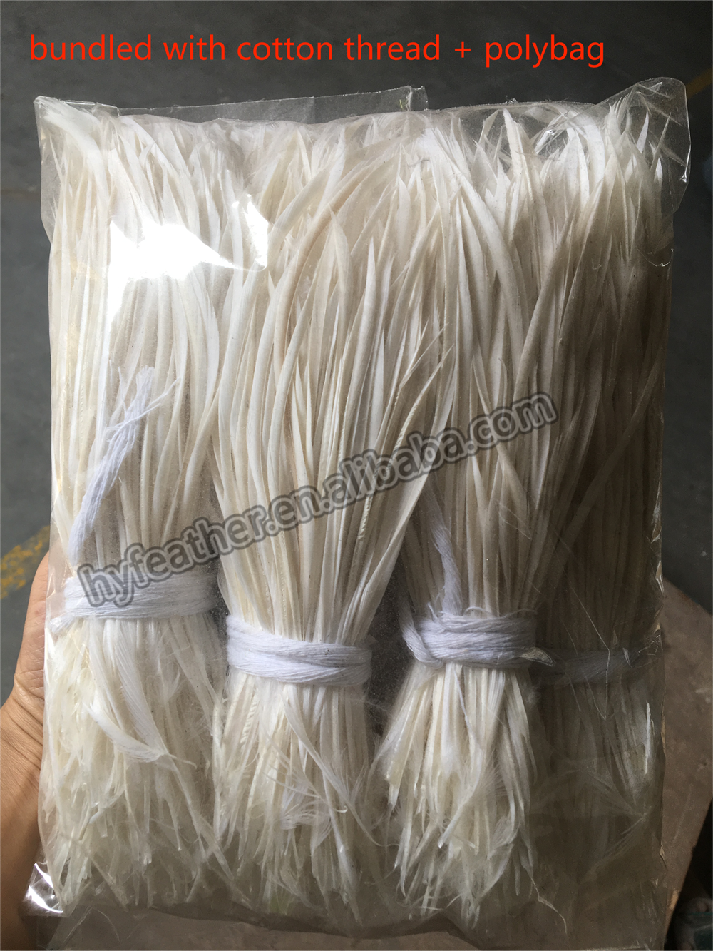 bundled with cotton thread