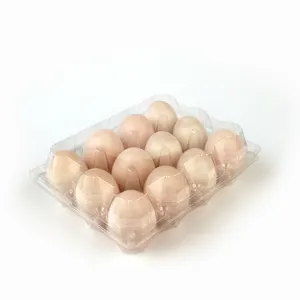 High Quality Box Eggs Tray Plastic Tray Best Supplier Egg Plastic Container for 4 6 8 9 10 12 15 holes