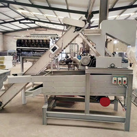 Machine industrielle à grande capacité pour le décorticage et le pelage des pistaches entières, machine de traitement des noix de pistache