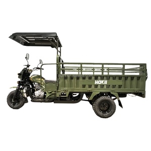 Lifan <span class=keywords><strong>200cc</strong></span> 250cc tự động 3 bánh xe gắn máy 300cc ba bánh động cơ từ hokii động cơ - Product Image 1