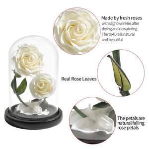 2 pezzi di rose eterne conservate <span class=keywords><strong>in</strong></span> Mini <span class=keywords><strong>vaso</strong></span> di vetro fresco naturale rosso fiori veri Custom Logo scatola regalo natale san valentino - Product Image 4