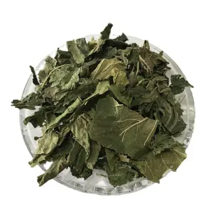 5001 Sang ye Top grade bulk folium mori dried Mulberry leaf tea