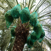 Aangepaste Dadelpalm Mesh Tas Naar Midden-Oosten Markt Groene Mono Dadelpalm Mesh Tas 70X90Cm 40 G/stks 80X100Cm 53 G/stks