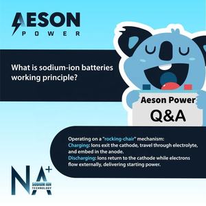 새로운 에이슨 파워 나포스 95D31L 나트륨 이온 자동차 배터리 12V 650CCA 33Ah 2700 사이클 5.9KG 경량 긴 수명 - Product Image 3