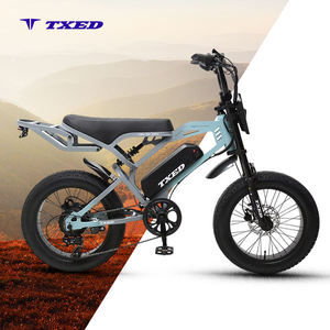 Bicicleta Eléctrica de 750 Vatios con Neumáticos Profesionales, Fatbike de 20 Pulgadas, Motor Trasero Hidráulico sin Escobillas de 48V/500W, Potente y Eficiente - Product Image 1