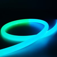 Tube néon en silicone noir D22 360 degrés DC24V 120 LED IP66 RGB Pixel pour la décoration de mariage, la décoration de Noël, l'éclairage de scène