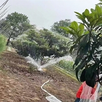 Malla para Pájaros para Huertos de Cerezas y Uvas, Invernaderos, HDPE Blanco, Antienvejecimiento, Garantía de 5 Años