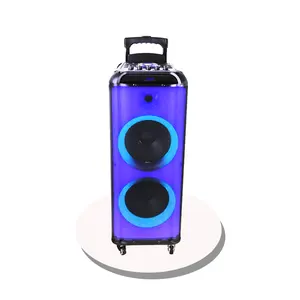 J bl扬声器1000w卡拉ok双12英寸派对盒便携式手推车带轮子发光二极管灯RGB扬声器音频系统声音